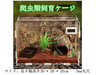 Amazon | JKOOK 爬虫類飼育ケース 透明アクリル 昆虫飼育ケージ